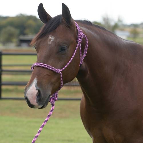 Professionals Choice Rope Halter w/8ft lead