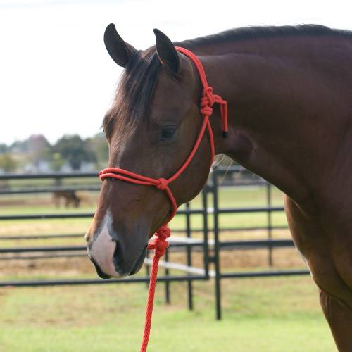 Professionals Choice Rope Halter w/8ft lead