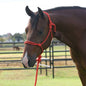 Professionals Choice Rope Halter w/8ft lead