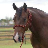 Professionals Choice Rope Halter w/8ft lead