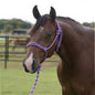 Professionals Choice Rope Halter w/8ft lead