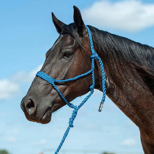 Flat Braid Halter with Lead