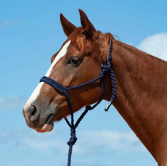 Flat Braid Halter with Lead