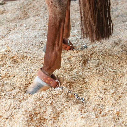 Martin Saddlery Kickchains
