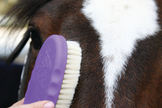 Tail Tamer ST400