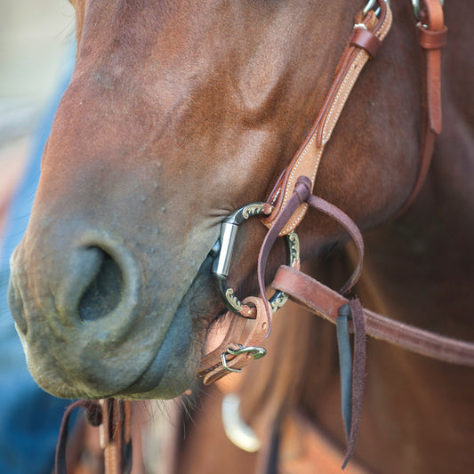 D-Ring Floral Western Smooth Snaffle
