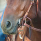 D-Ring Floral Western Smooth Snaffle