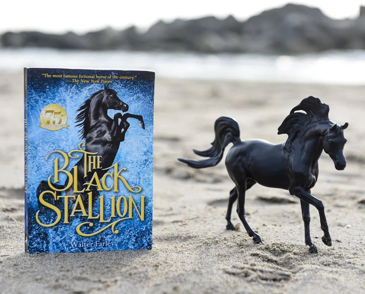 Black Stallion Book Set