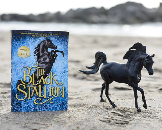 Black Stallion Book Set